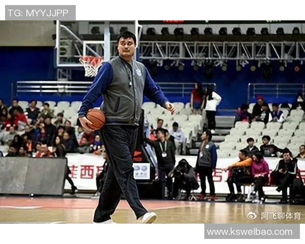 姚明全鸿的篮球传奇与中国体育发展的深远影响